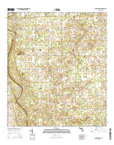Dowling Park 2015 topographic map thumbnail