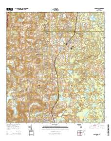 Lacoochee 2015 topographic map thumbnail