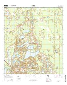 Lake Dias 2015 topographic map thumbnail