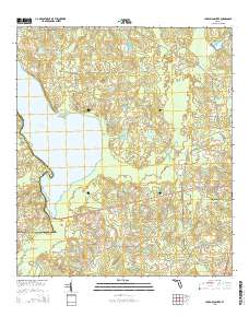 Lake Miccosukee 2015 topographic map thumbnail