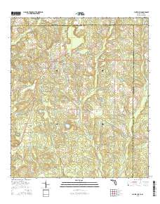 Laurel Hill 2015 topographic map thumbnail