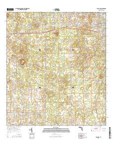 Lecanto 2015 topographic map thumbnail