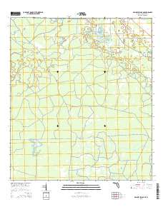 Mallory Swamp NE 2015 topographic map thumbnail