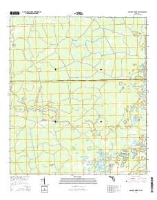 Mallory Swamp SE 2015 topographic map thumbnail