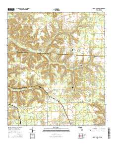 Mount Pleasant 2015 topographic map thumbnail