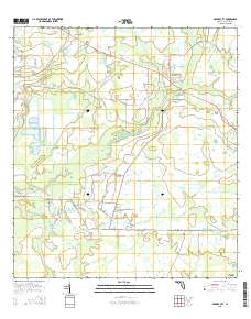 Myakka City 2015 topographic map thumbnail