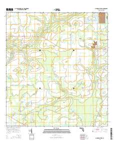 Myakka City NW 2015 topographic map thumbnail