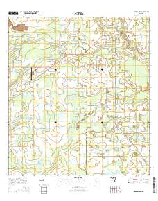 Myakka Head 2015 topographic map thumbnail