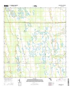 Narcoossee SE 2015 topographic map thumbnail