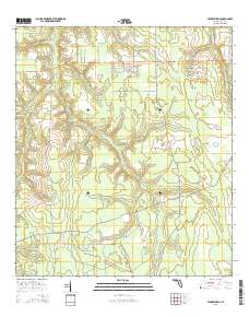 Penney Farms 2015 topographic map thumbnail