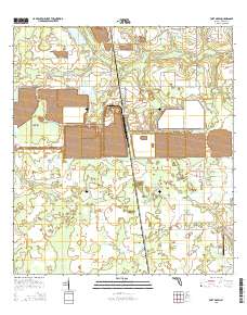 Fort Green 2015 topographic map thumbnail