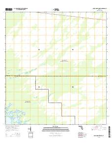 Gator Hook Swamp 2015 topographic map thumbnail