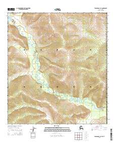 Tanacross B-1 SE topographic map thumbnail