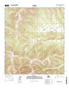 Tanacross C-1 SW topographic map thumbnail