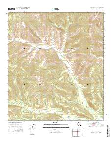 Tanacross C-1 NE topographic map thumbnail