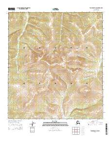 Tanacross D-1 SW topographic map thumbnail