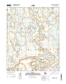Teshekpuk A-5 SW 2015 topographic map thumbnail