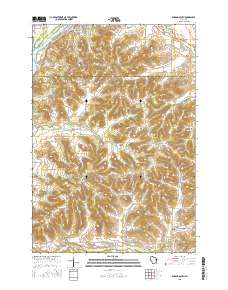 Durand South 2015 topographic map thumbnail