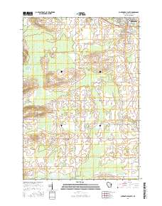 Clintonville South 2016 topographic map thumbnail