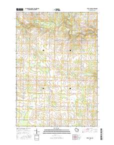 Little Rose 2015 topographic map thumbnail