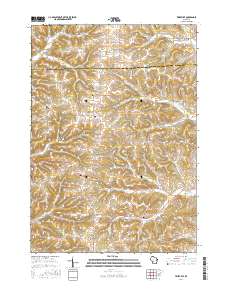 Trippville 2016 topographic map thumbnail