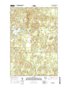 Lyman Lake 2015 topographic map thumbnail