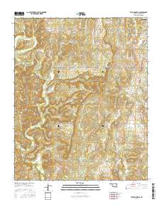 Tate Mountain 2016 topographic map thumbnail