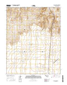 Flagg Springs 2016 topographic map thumbnail