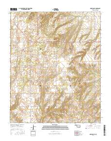 Oakwood SE 2016 topographic map thumbnail