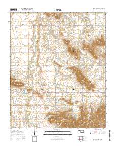 Bally Mountain 2016 topographic map thumbnail