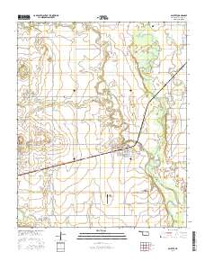Olustee 2016 topographic map thumbnail