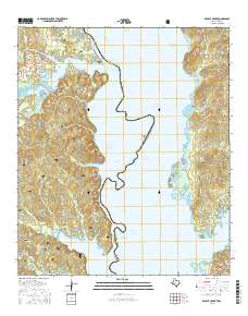 Brushy Creek 2016 topographic map thumbnail