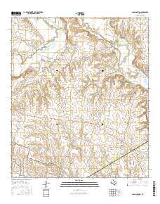 Leon Junction 2016 topographic map thumbnail