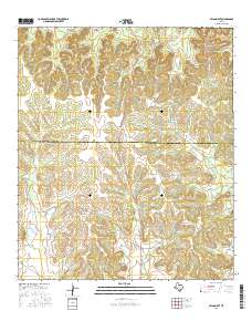 Pecan Mott 2016 topographic map thumbnail