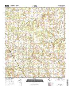 Pecan Wells 2016 topographic map thumbnail