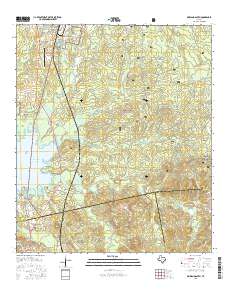 Pineland South 2016 topographic map thumbnail