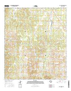 Ray Lake SW 2016 topographic map thumbnail