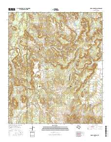 Reddy Mountain 2016 topographic map thumbnail