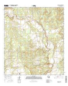Sabinal NE 2016 topographic map thumbnail