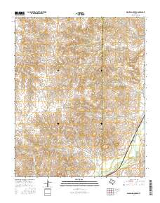 Washburn Arroyo 2016 topographic map thumbnail
