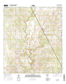 Ray Point 2016 topographic map thumbnail