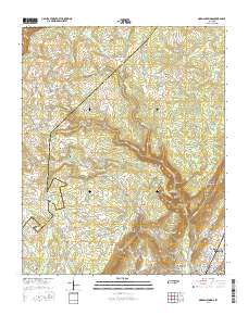 Morgan Springs 2016 topographic map thumbnail