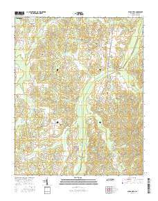 Buena Vista 2016 topographic map thumbnail