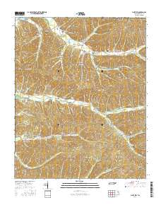 Pine View 2016 topographic map thumbnail