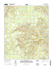 Lewis Swamp 2016 topographic map thumbnail
