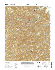 Santeetlah Creek 2016 topographic map thumbnail