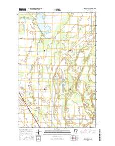 Nelson Slough 2016 topographic map thumbnail