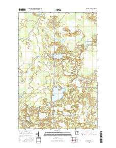 O'Leary Lake 2016 topographic map thumbnail