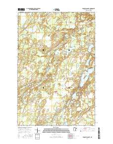 Pequaywan Lake 2016 topographic map thumbnail