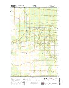 Pine Island Lookout Tower 2016 topographic map thumbnail